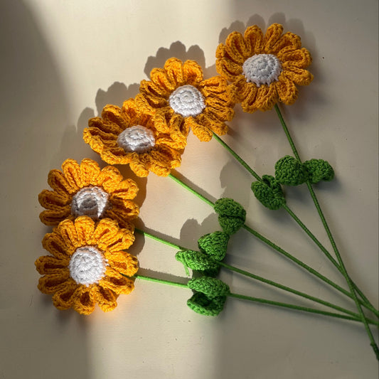 Crochet daisies